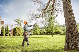 Professional Tree Services in Hartselle, AL